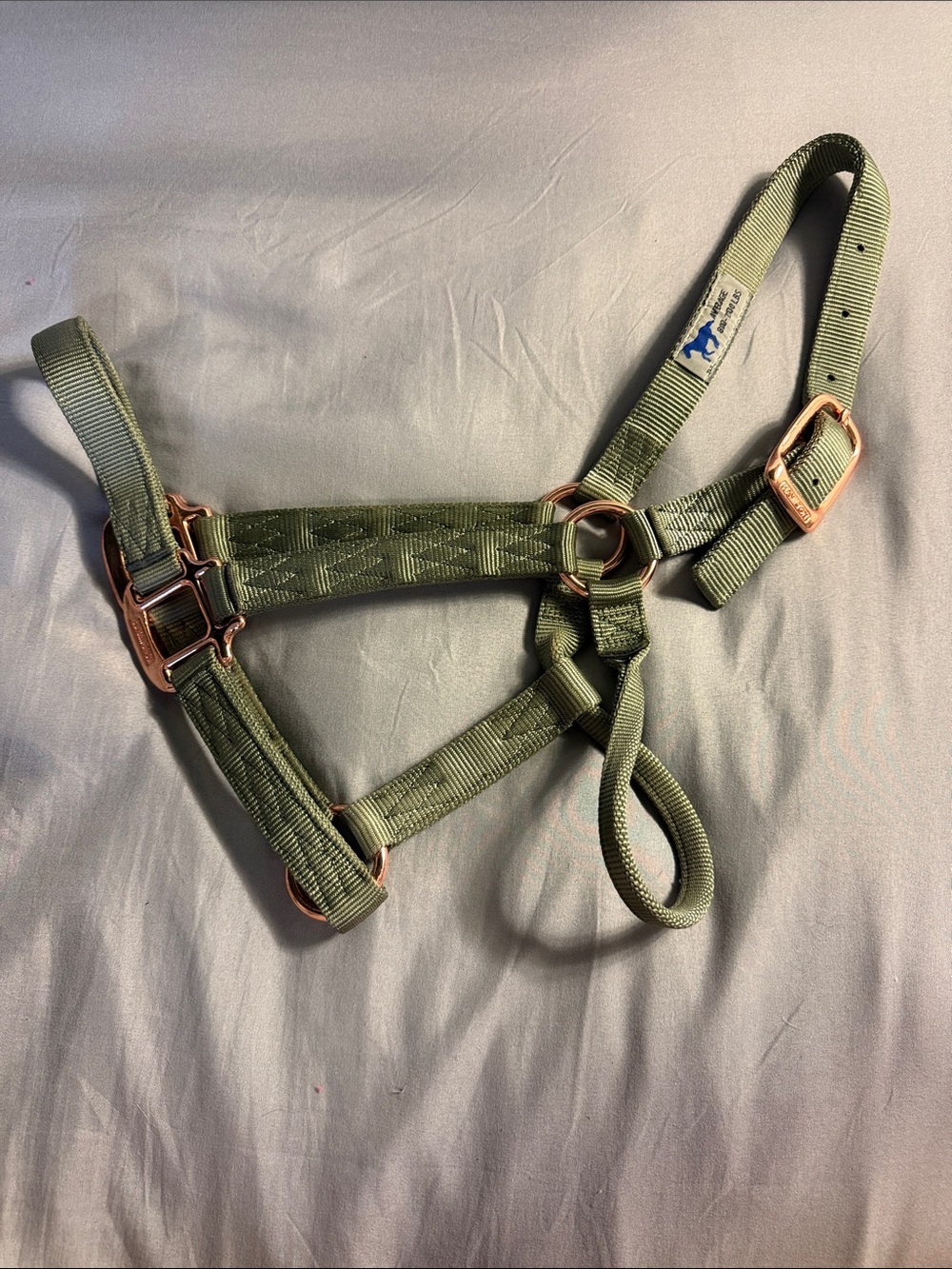 Hamilton Medium Sage Green Nylon Horse Halter with Rose Gold Hardware